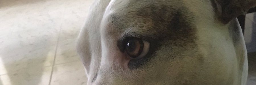 Omarriveroo's profile banner image
