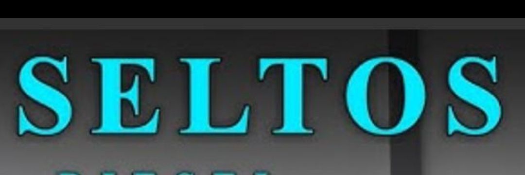 SELTOS SELTOS banner