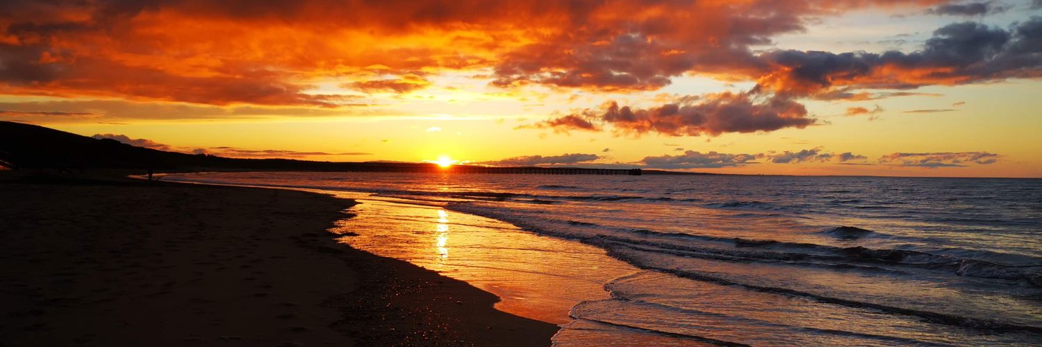 Sofia Lauren🍄✨ banner