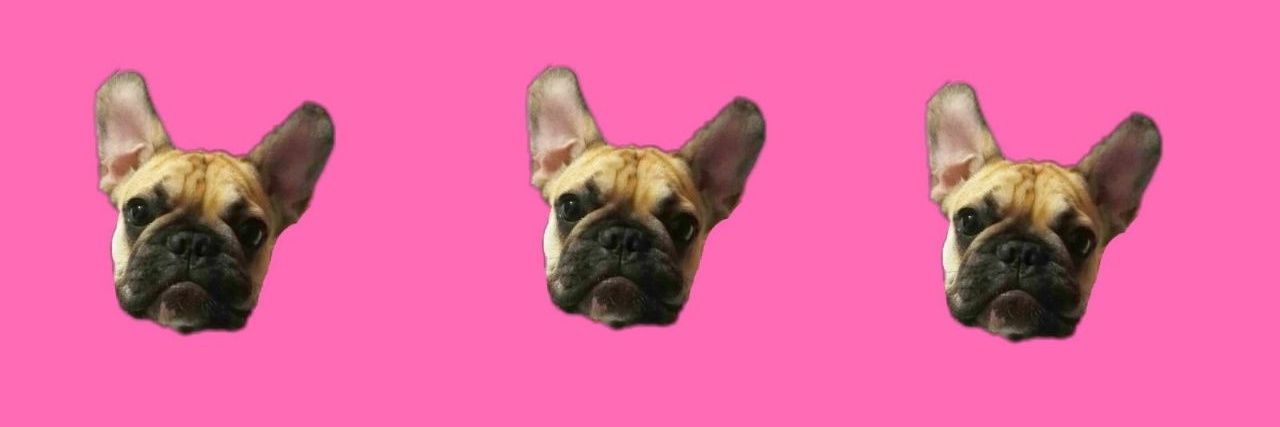 lucamemma's profile banner image