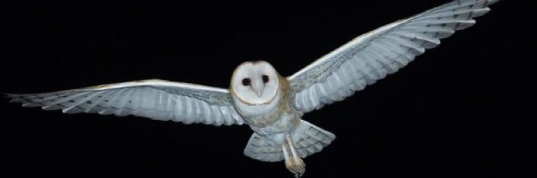 RÈ banner