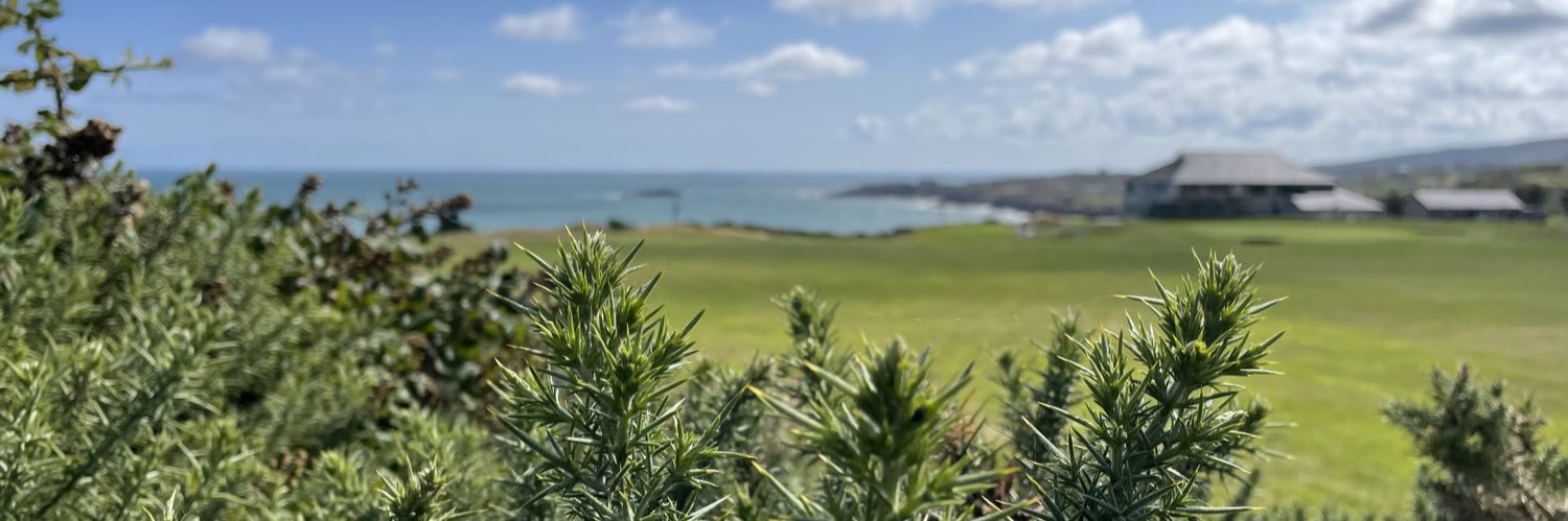 Liam Arwel Griffiths banner