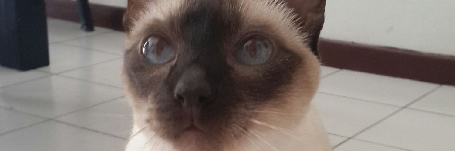 mnsc22's profile banner image