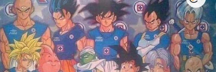 Boi banner
