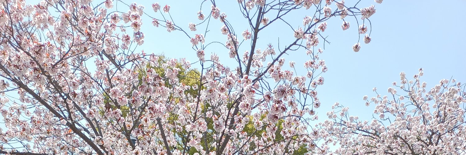chapomachi's profile banner image