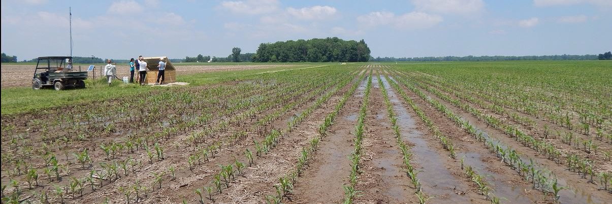 PurdueExtWater's profile banner image