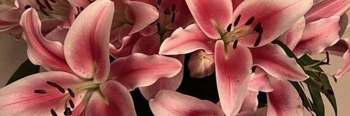 rivermuffinss's profile banner image