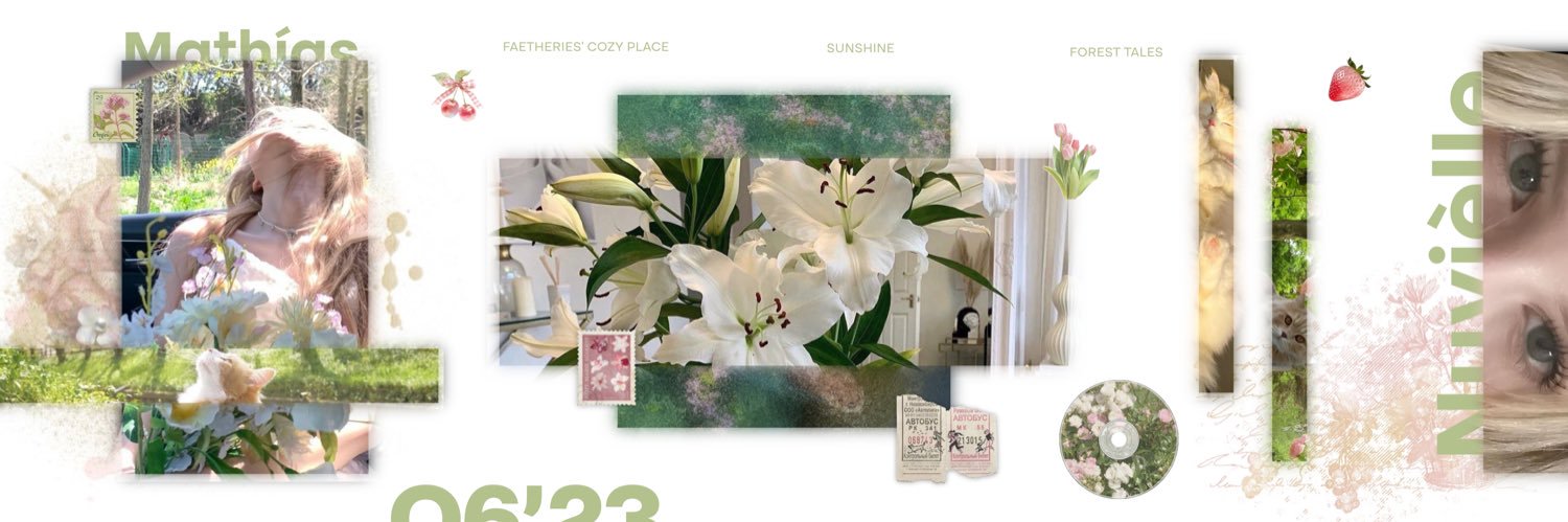 ˖᯽ ݁˖ Nuvièlle . 𓍢 banner