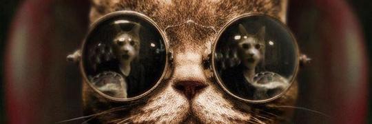SamtasticlyMad's profile banner image