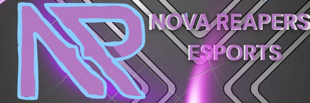 NR Esports banner