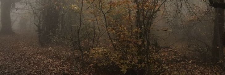 drowsyiero's profile banner image