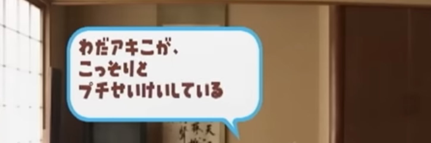 ろあ^⩌ ̫ ⩌^ banner