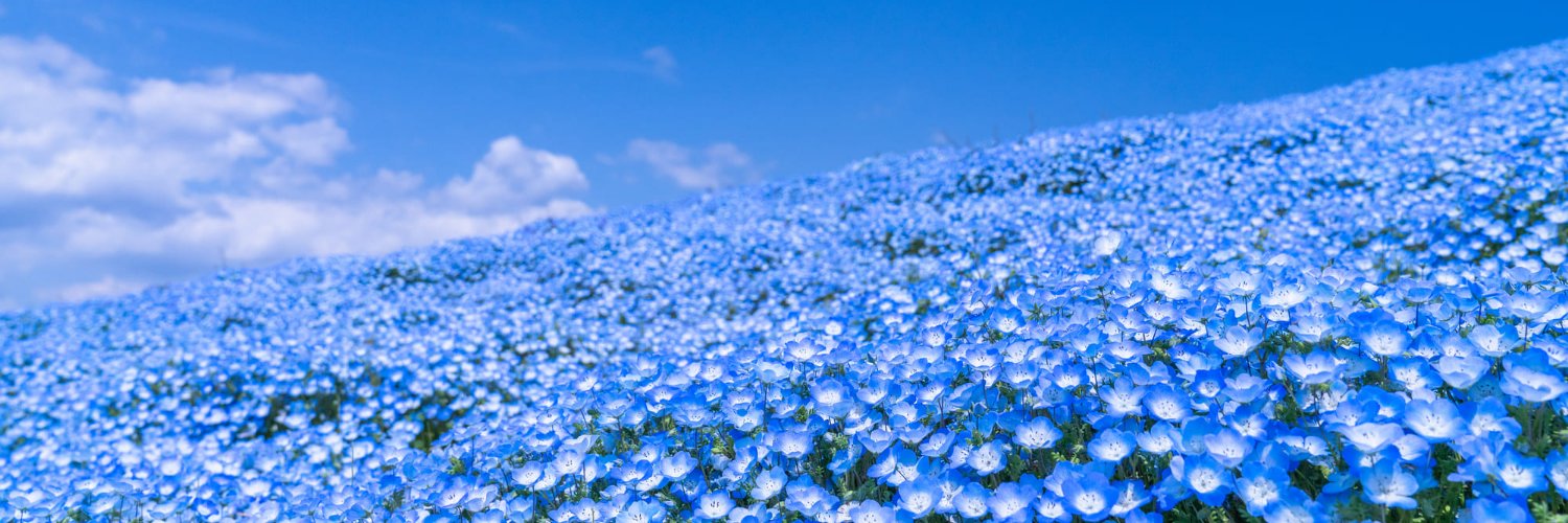 こたろう banner