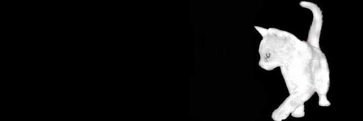 ipweettiest's profile banner image