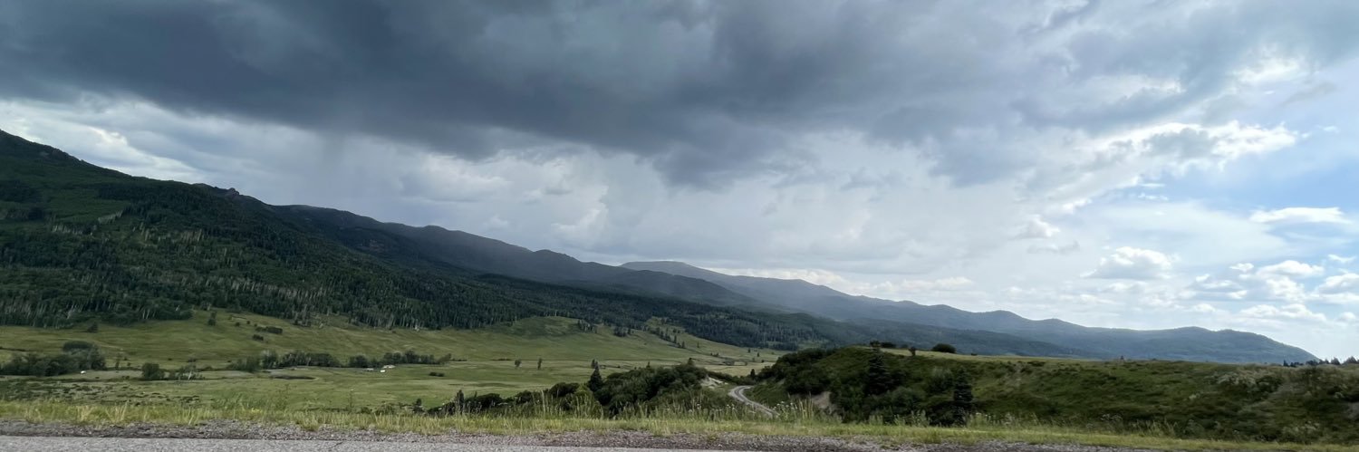 MsRoyston's profile banner image