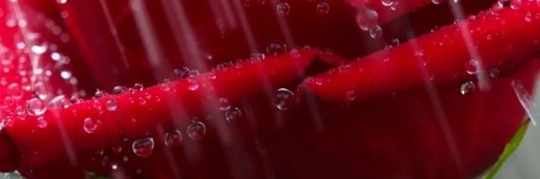 anandkrishn29's profile banner image