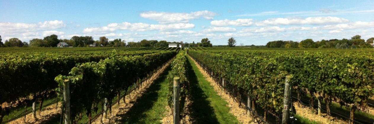 LI Wine Country banner