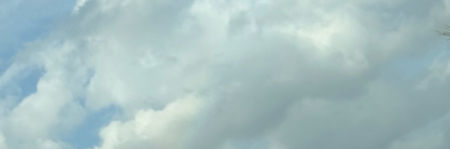 コンソメ banner