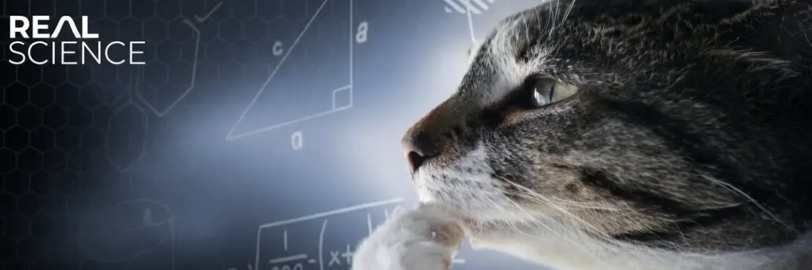 I_Raised_You banner