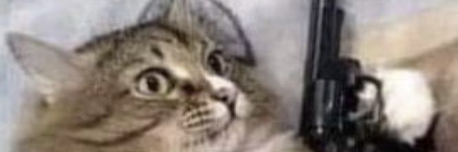 Marie 🏳️‍⚧️ banner