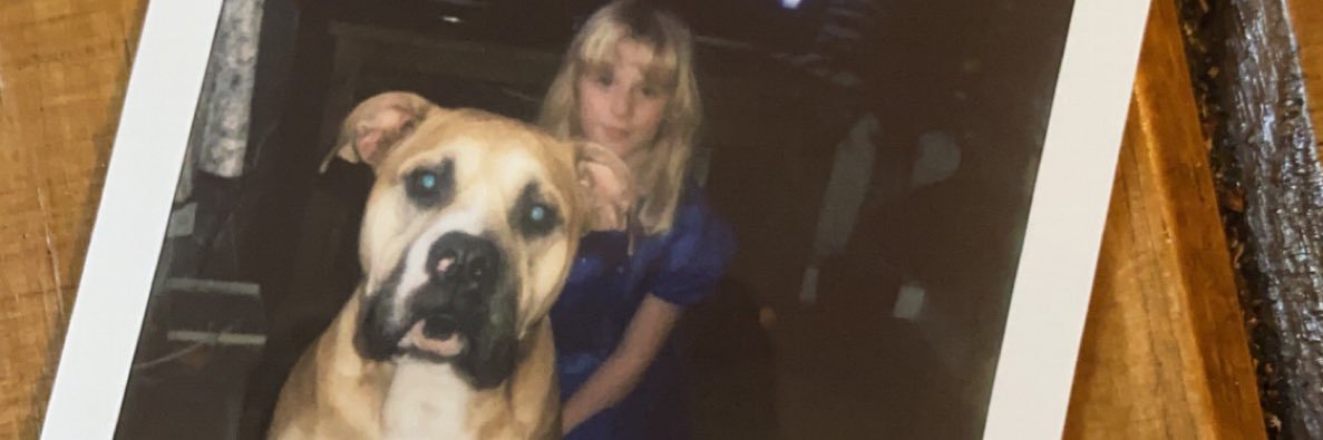 AshleighSlaven's profile banner image