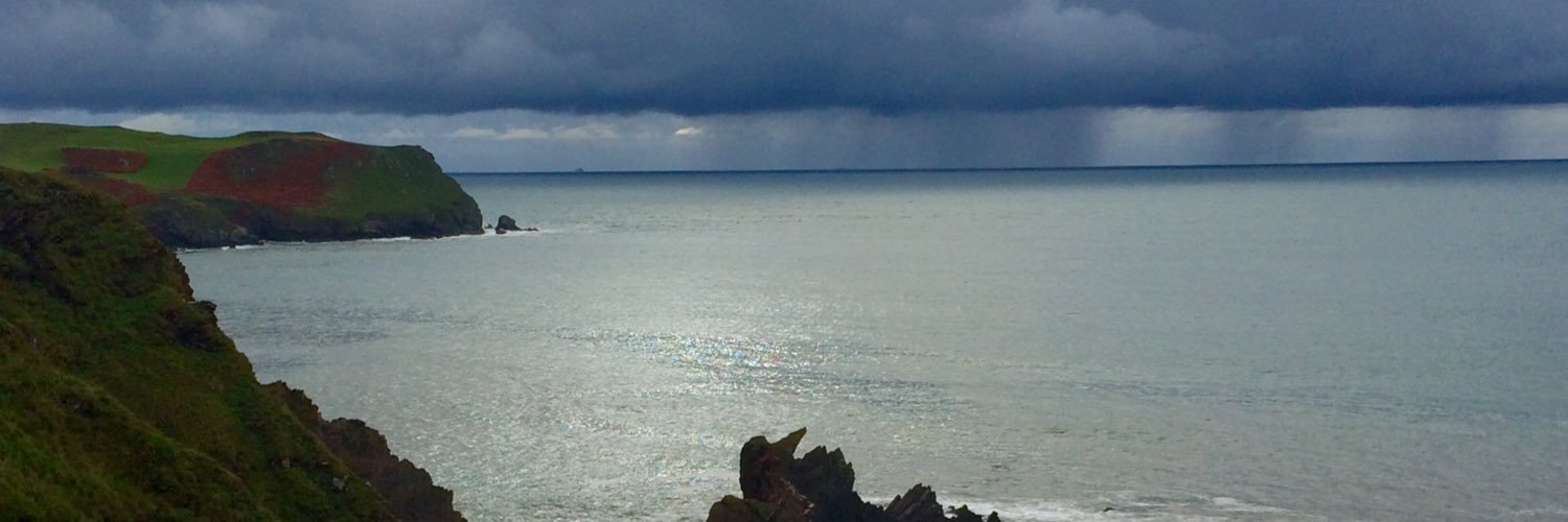 allideano's profile banner image