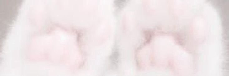 のん banner