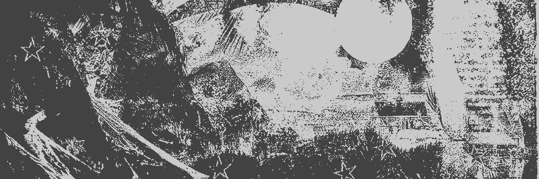 bjørk. banner