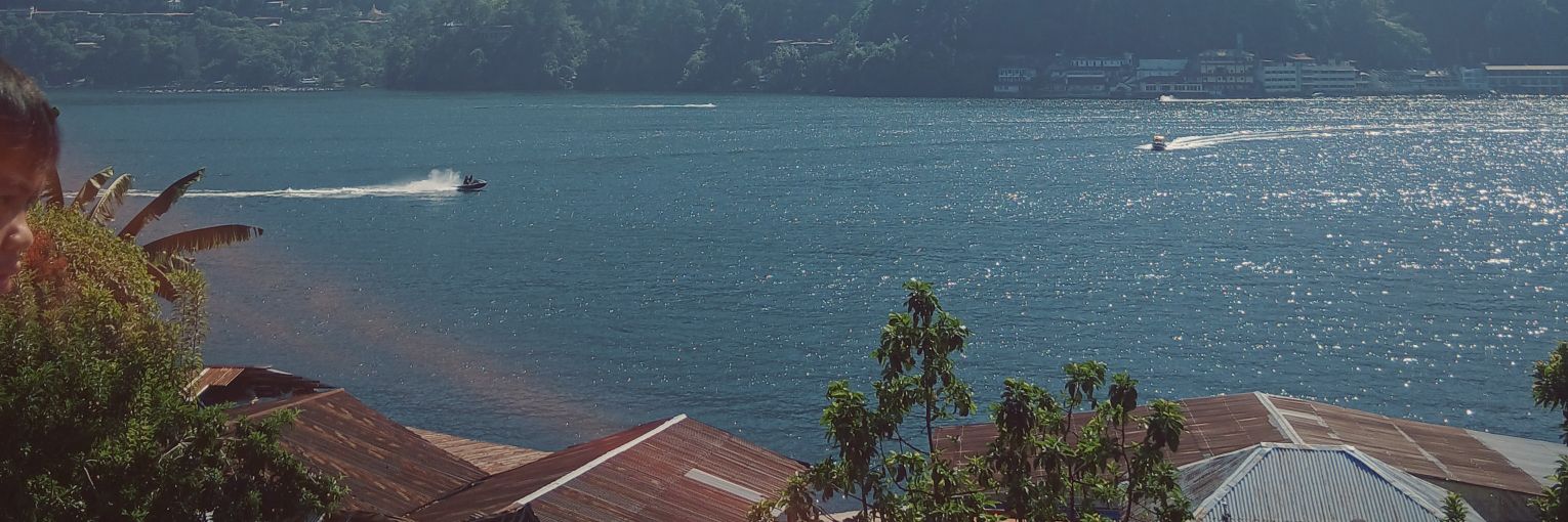 vawl 🍓 banner