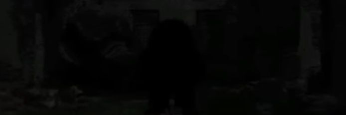 A Husk. banner