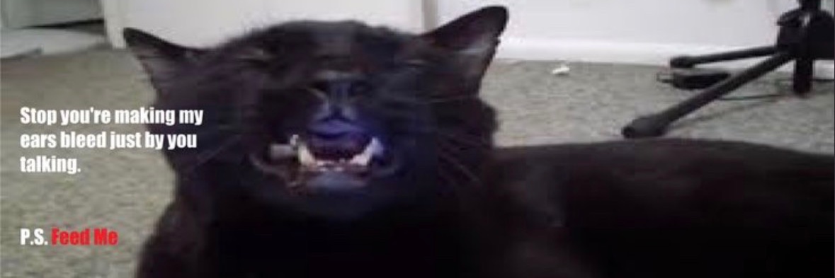 Sunny/Sylvester #shtwt banner