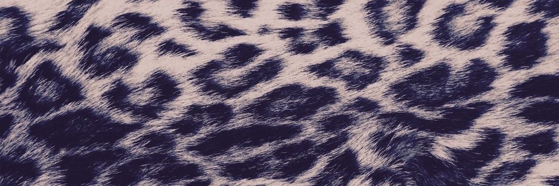 kjsj112's profile banner image