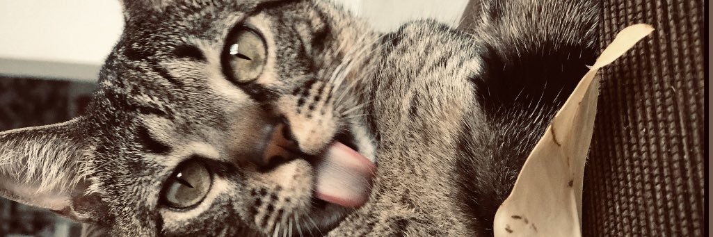 marcequeesse's profile banner image