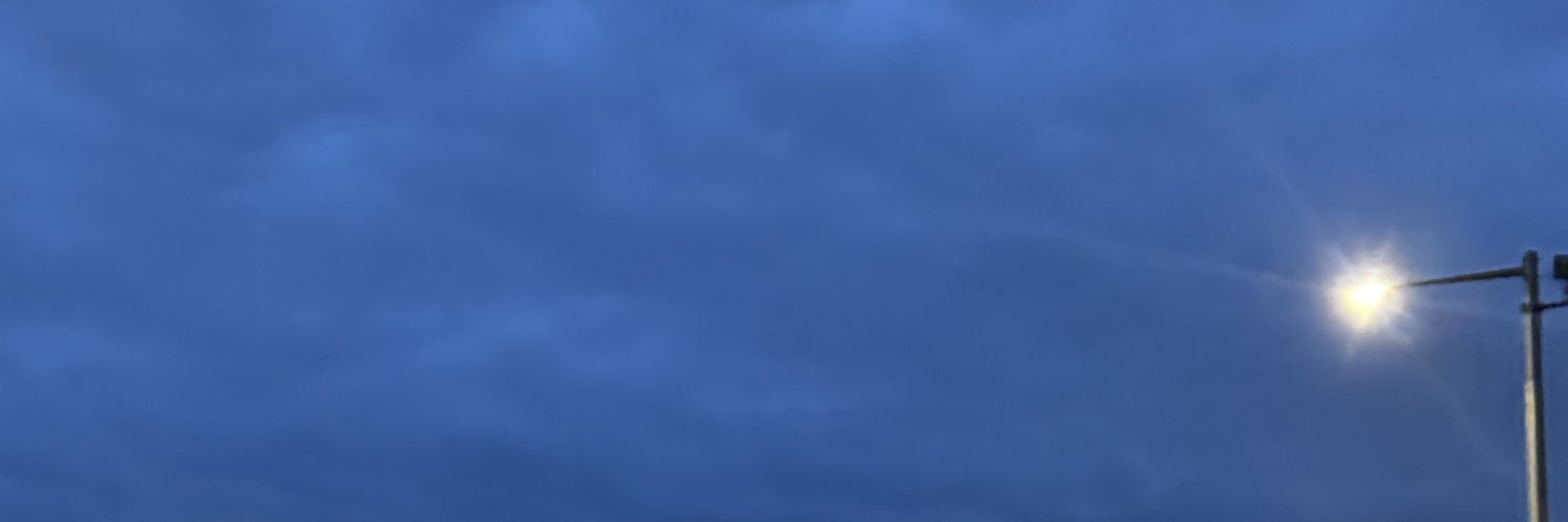 Punished Thinker 🔨 banner