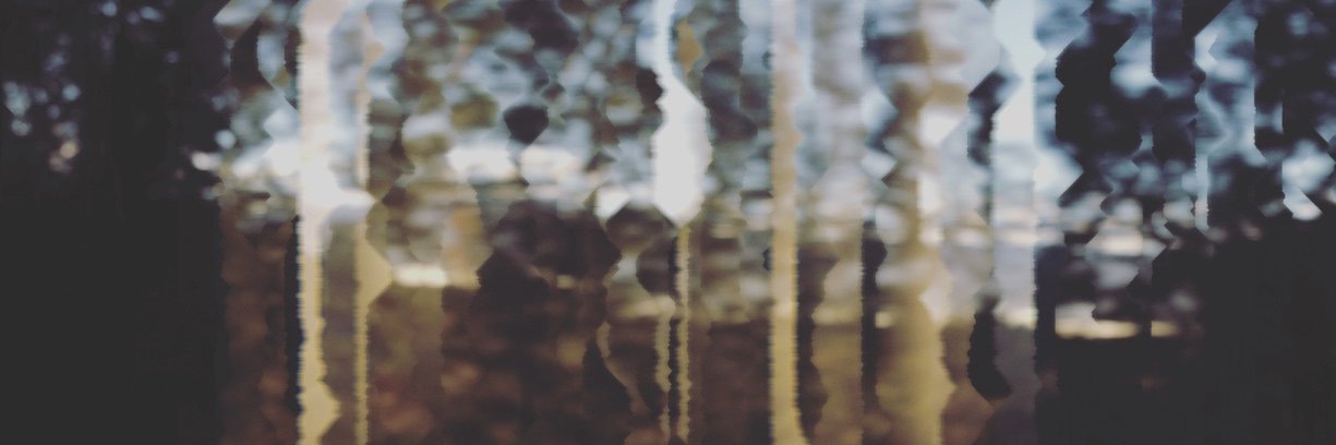 Andrew Johnson banner