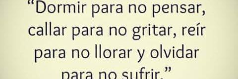 chichival's profile banner image