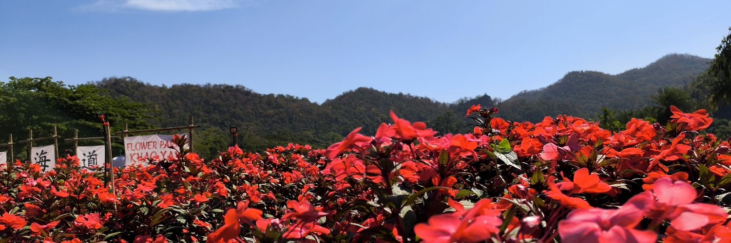 HelpingIday's profile banner image