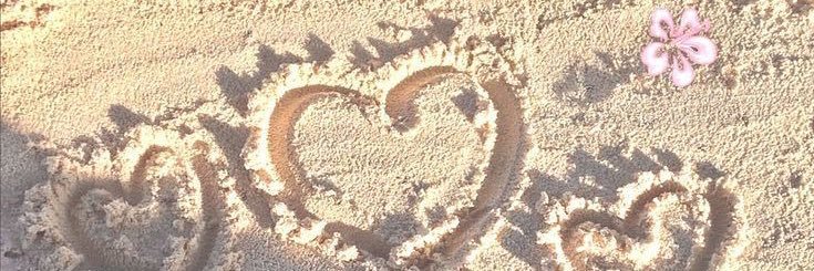 calvin ⸝⸝ 🥥 MOOTHUNT!! banner