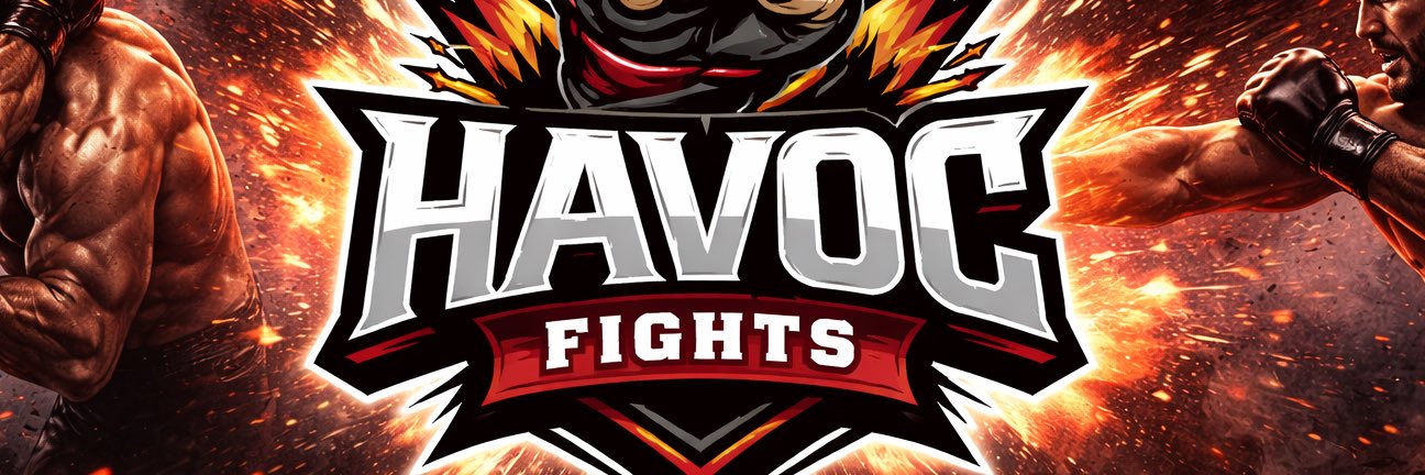 havocfights banner
