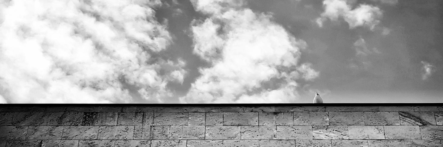 fotonaldos's profile banner image