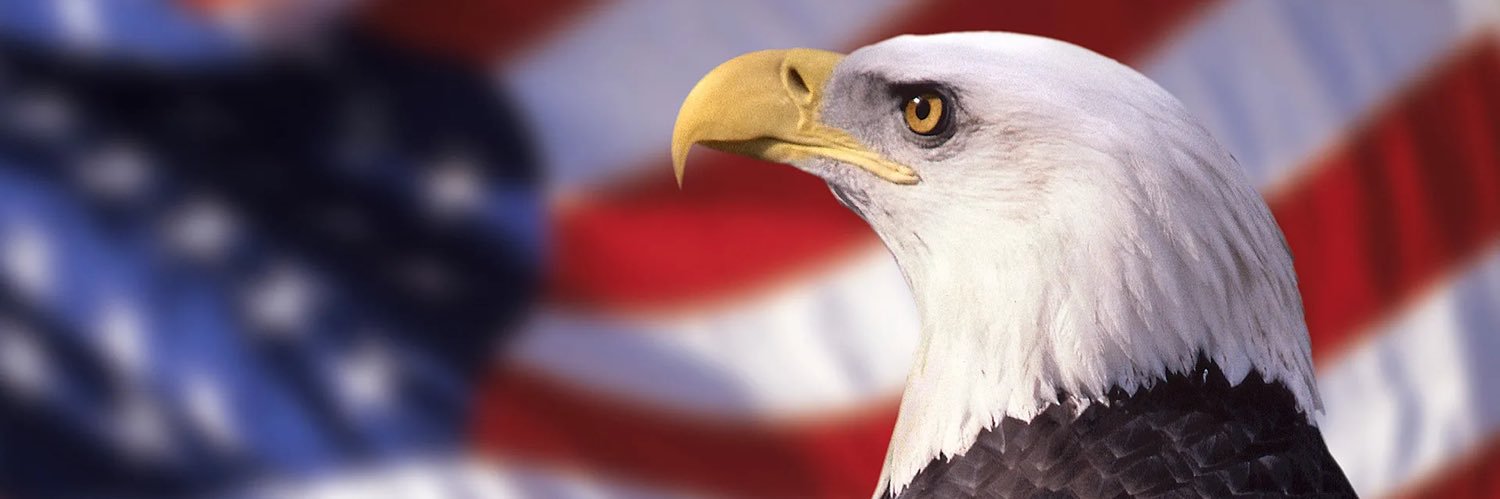 George L's banner