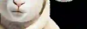 jessicaadarrell's profile banner image