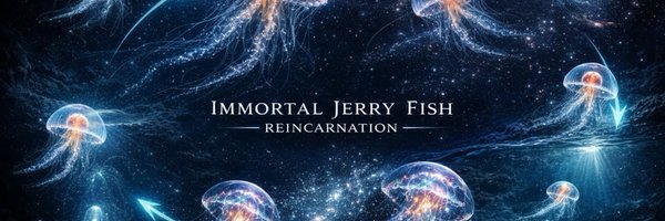 ijf_sol Profile Banner