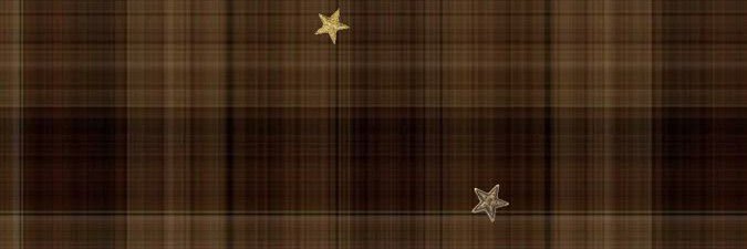 pv_namm's profile banner image