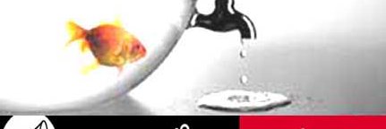 Sesonline_'s profile banner image