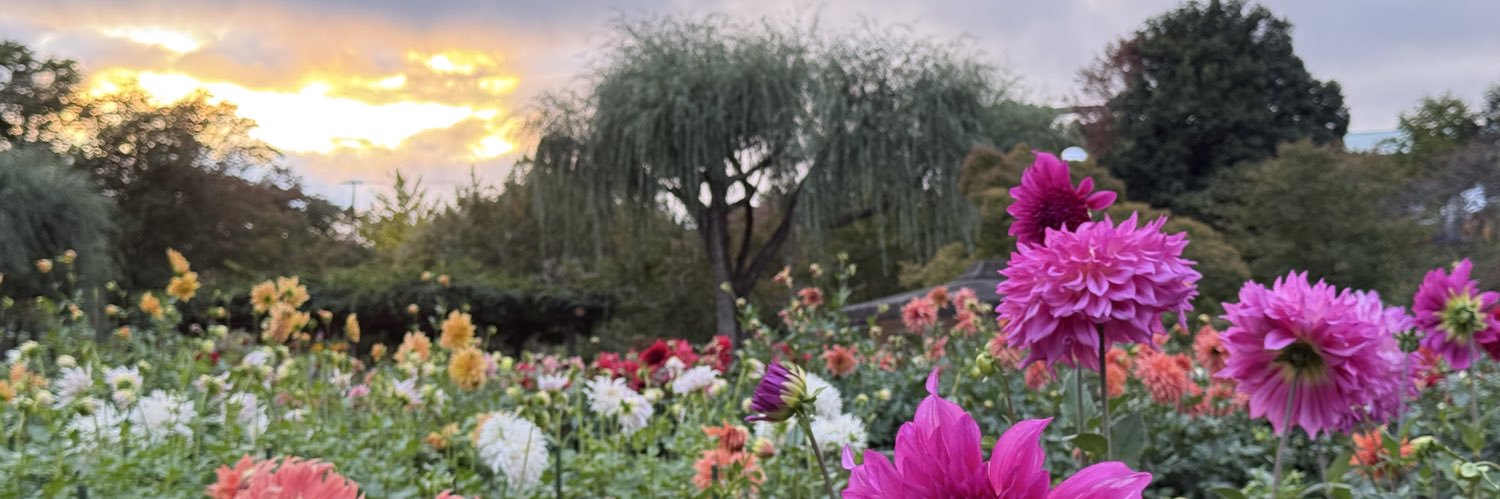 oryong_cha's profile banner image