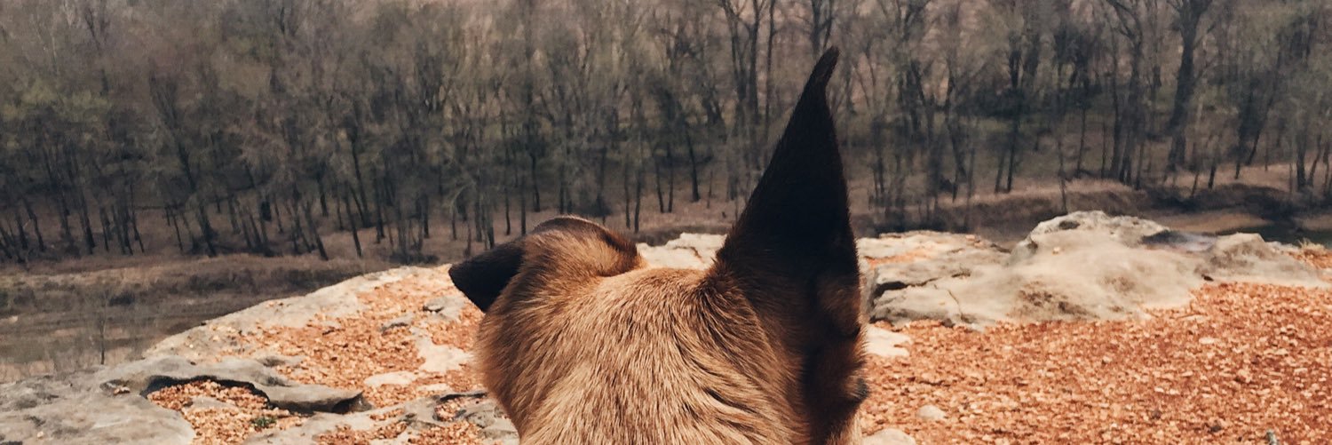 Briyonce12's profile banner image