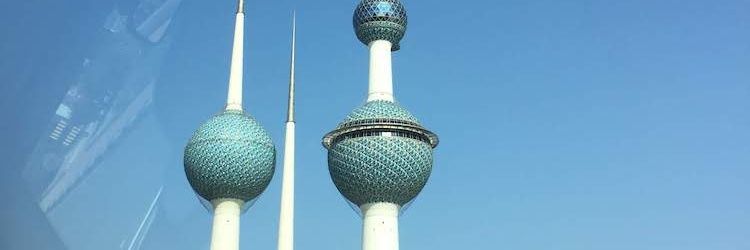 🎀 Sophia 🎀 banner