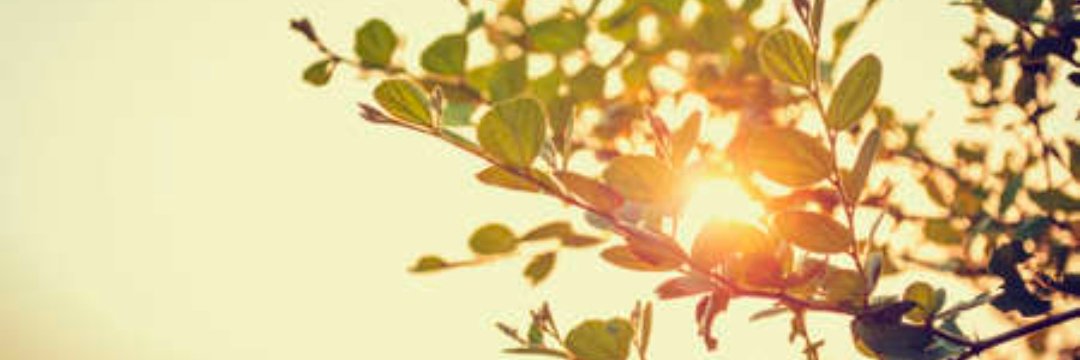 suhani_quein's profile banner image