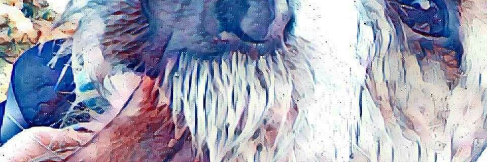HDExiles's profile banner image